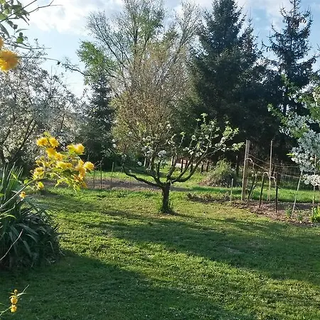 Gasthof Arpad Haz