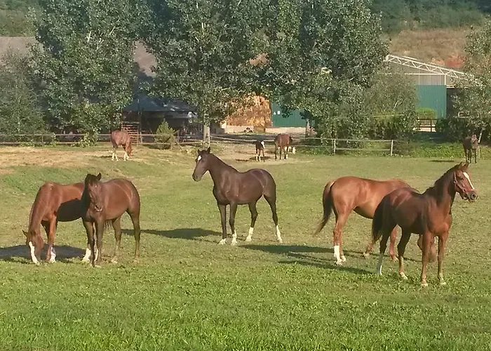 Konukevi Arpad Haz Alsonana